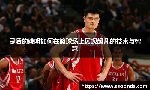 灵活的姚明如何在篮球场上展现超凡的技术与智慧